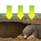 Victor Victor Animal Repellent Granules For Gophers and Moles 4 lb M7001-1 - alternate 3